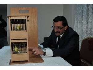 Başkente En Güzel Sesli Kanaryalar Yarıştı
