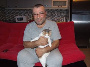 Siverekte Donan Eşeklere Yine Aynı İşadamı Sahip Çıktı