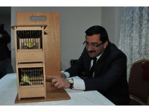 En Güzel Sesli Kanaryayı Seçtiler