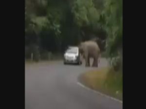 Otomobili Hurdaya Çevirdi