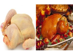 Tavuk Üretimi Artışta Hindi Düşüşte