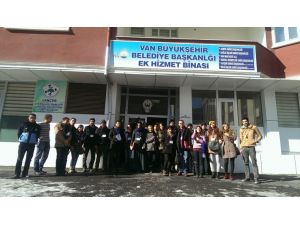 Sokakta Çalışan Çocuk Sorunu