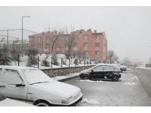 Sakarya Haftaya Karla Başladı