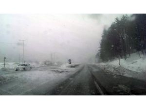 Bolu Dağında Kar Ve Sis Bir Arada
