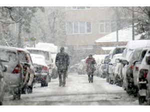 Yalova Kara Teslim Oldu
