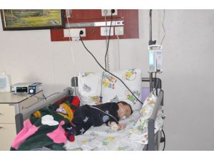 Arda Bebek, Aileyi Kurtardı