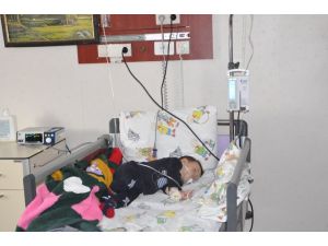 Arda Bebek Aileyi Kurtardı