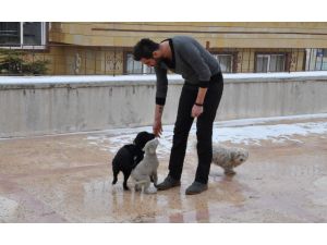 (Özel Haber) Ürgüp’te Parası Olmayanlar Ve Sokak Hayvanları İçin Ücretsiz Otel