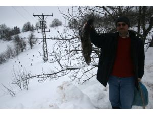 Sansar Köyü Elektriksiz Bıraktı