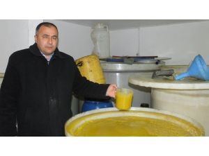 Burhaniyede Raflardaki Zeytin Yağları Dondu