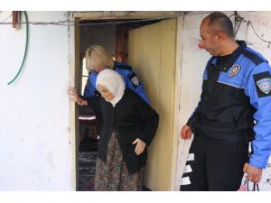 Yalnız Değilsiniz Çınarlarımız Projesi