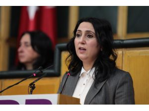 Hdp Grup Toplantısı