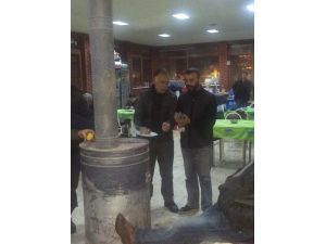 Donup Ağaçlardan Düşen Kuşlara Vatandaş Şefkati