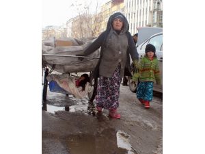 (Özel Haber) Üstü Kağıt, Altı Çocuk Arabası