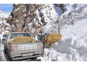 Zorda Kalan Yaban Hayvanları İçin Doğaya Yem Bırakıldı