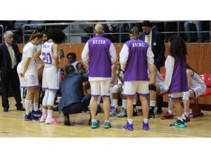 Menekşeler İstanbulda Galip Gelmek İstiyor
