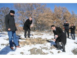 Yozgat Belediyesi Yaban Hayvanları İçin Doğaya Yem Bıraktı