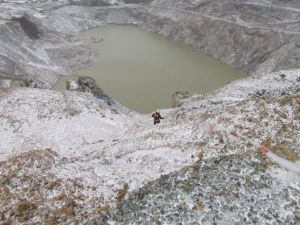 (Özel Haber) Kahraman İşçi Gölete Düşen Karacayı Kurtardı