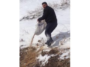 Avcılar Öldürmek İçin Değil Yaşatmak İçin Dağa Çıktı