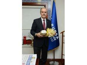 Koza Üreticisine Büyük Destek