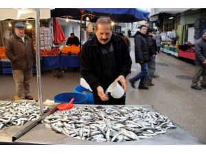 Kar Ve Fırtınaya Rağmen Balık Fiyatları Hala Ucuz