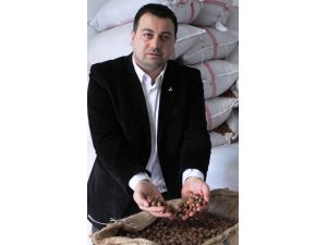 16 Lira Olan Fındık, Cumhuriyet Tarihi Rekoru Kırdı