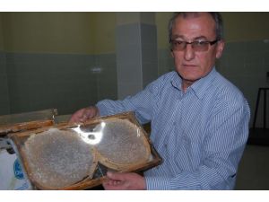Tv’leri İstila Eden Bal Reklamlarına Tepki