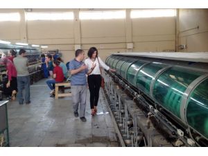 Kulp İpeğine, Silk And Cashmere Firması Sahip Çıktı