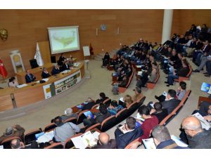 Türkiye’nin İlk Zeytin İhtisas Osbsi Kuruldu