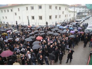 Hdp Ve Dbp Heyeti Cizre’de