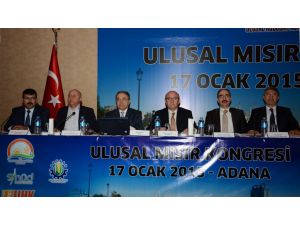 “Ulusal Mısır Kongresi” Adana’da Toplandı
