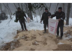 Doğaya 8 Ton Yem Bırakıldı