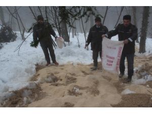 Doğaya Tonlarca Yem Bıraktılar