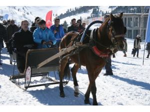 Uludağ’da Atlı Kızak Şampiyonası