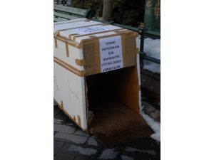 Sokak Hayvanlarına Pratik Barınak