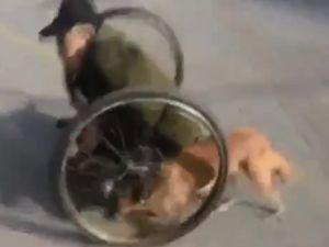 Onlar En Yakın Dostumuz