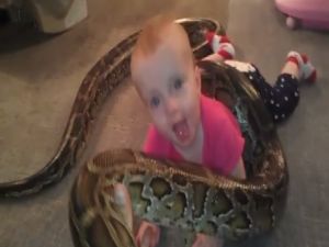 Bu Bebek Pitonla Oynuyor !