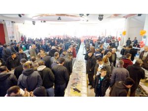 1. Sarıgöl Damızlık Saya Güvercini Festivali Yapıldı