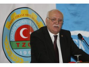 Tzob: “Fındık Fiyatı Doğu Karadenizli Üreticiye Yaramadı”