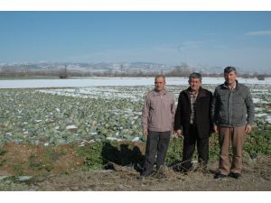 Kar Kışlık Ürünlere Yaradı