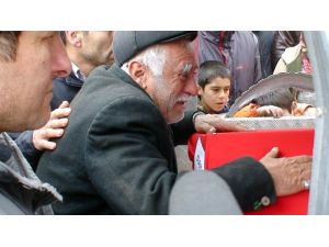 Bu Acıya Yürek Dayanmaz, Ağabeyi De Şehit Olmuş