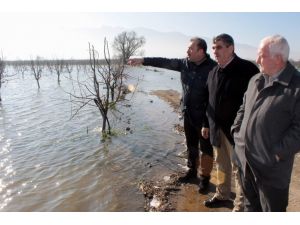 Bursa Ovası’ndaki Zarar Meclis Gündeminde