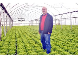 Verimli Araziye Kalıpçılar Vadisi Kurulmasına Tepki