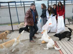 Malaklılar Derneği Ve Öğrencilerden Köpeklere Ekmek