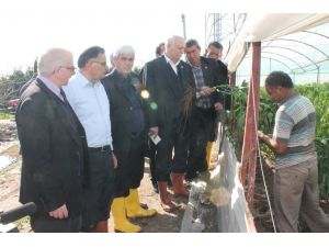 Bayraktar Seralarda İnceleme Yaptı