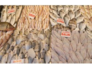 Havaların Isınmasıyla Balık Fiyatları Yarı Yarıya Düştü