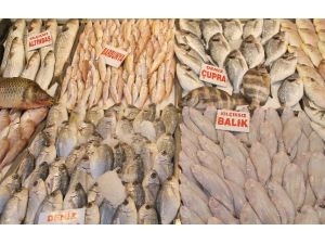 Havaları Isındı Balık Fiyatları Düştü