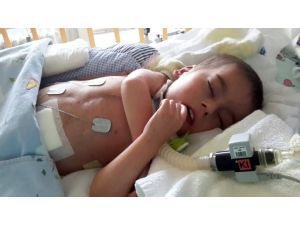 Almanya’da İkinci Muhammed Bebek Vakası