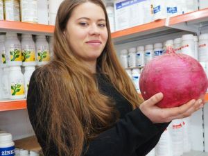 Sarıgöl’de Devasa Turp İlgi Odağı Oldu