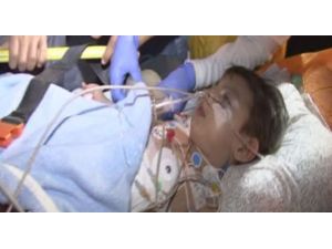 Almanya’da İkinci Muhammet Bebek Olayı